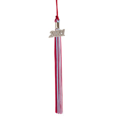 Graduation Tassel - 2021 - Silver Charm - 3 Color