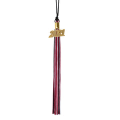 Graduation Tassel - 2021 - Gold Charm - 3 Color