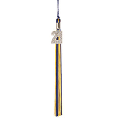 Graduation Tassel - 2021 - Bling Charm - 2 Color
