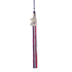 Graduation Tassel - 2021 - Bling Charm - 3 Color