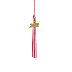 Kindergarten Graduation Tassel - 2021 - Gold Charm - 2 Color