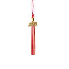 Kindergarten Graduation Tassel - 2021 - Gold Charm - 2 Color