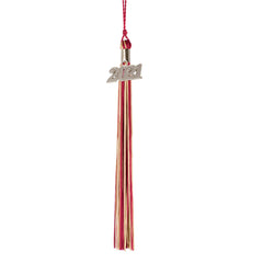 Graduation Tassel - 2021 - Silver Charm - 2 Color