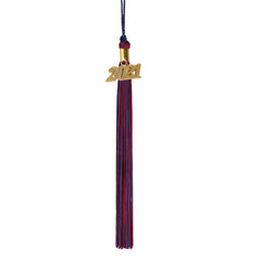 Graduation Tassel - 2021 - Gold Charm - 2 Color