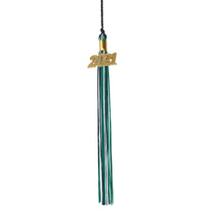 Graduation Tassel - 2021 - Gold Charm - 3 Color