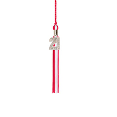 Kindergarten Graduation Tassel - 2021 - Bling Charm - 2 Color