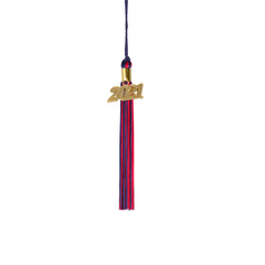 Kindergarten Graduation Tassel - 2021 - Gold Charm - 2 Color