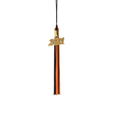 Kindergarten Graduation Tassel - 2021 - Gold Charm - 2 Color