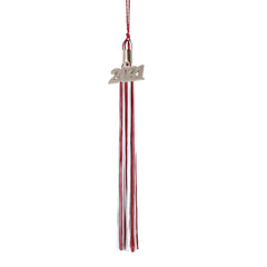 Graduation Tassel - 2021 - Silver Charm - 3 Color