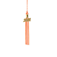 Kindergarten Graduation Tassel - 2021 - Gold Charm - 2 Color
