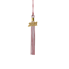 Kindergarten Graduation Tassel - 2021 - Gold Charm - 2 Color