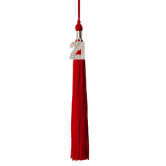 Graduation Tassel - 2021 - Bling Charm - 1 Color