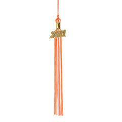 Graduation Tassel - 2021 - Gold Charm - 2 Color