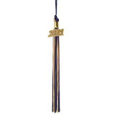 Graduation Tassel - 2021 - Gold Charm - 2 Color