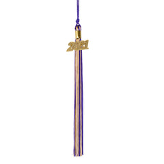 Graduation Tassel - 2021 - Gold Charm - 2 Color